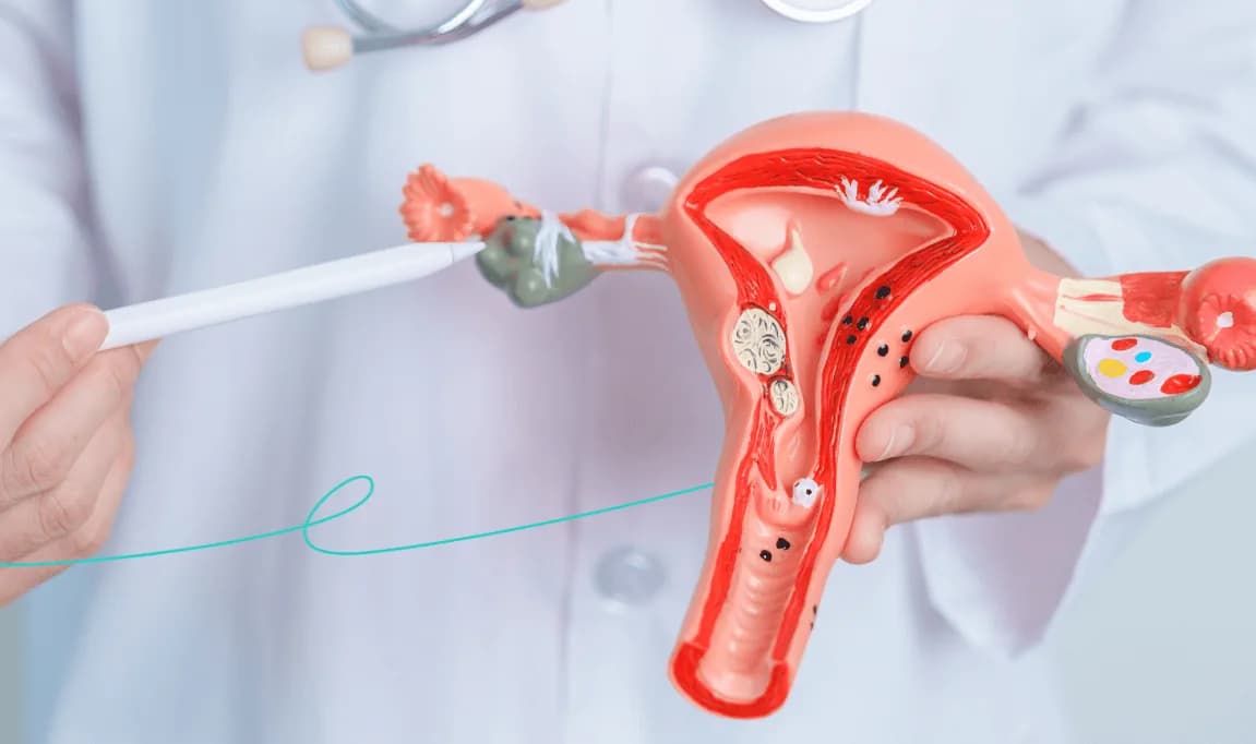 ¿Si se retrasa la menopausia, se alarga la vida de las mujeres?